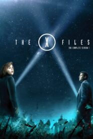 The X-Files Season 1 Complete BluRay 720p (Download)